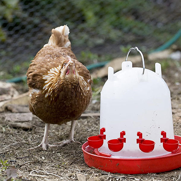 Set za automatsko napajanje kokoški i druge peradi Chick Drop