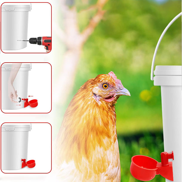 Set za automatsko napajanje kokoški i druge peradi Chick Drop
