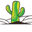 Kaktus Store logo